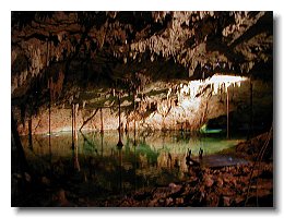 20040224 Hidden Worlds cenote